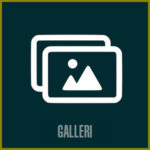 Gallery-btn-dk